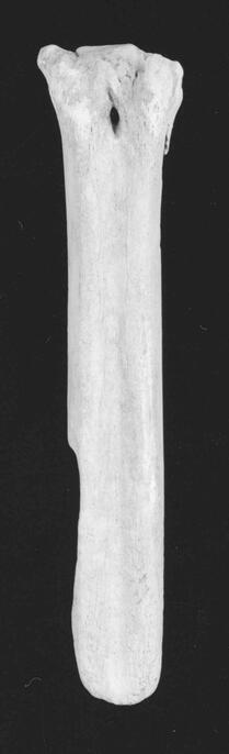 ColBase